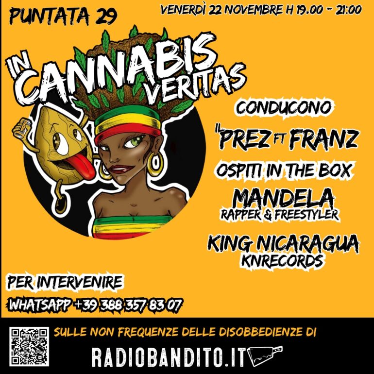 In Cannabis Veritas Puntata 29